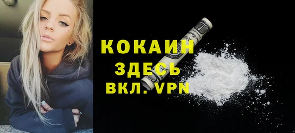 тгк Алексин