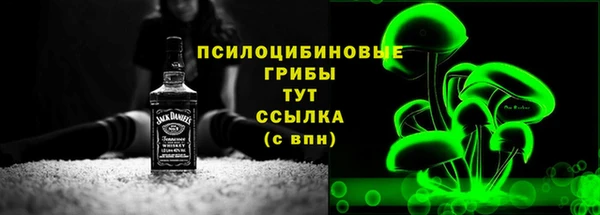 тгк Алексин