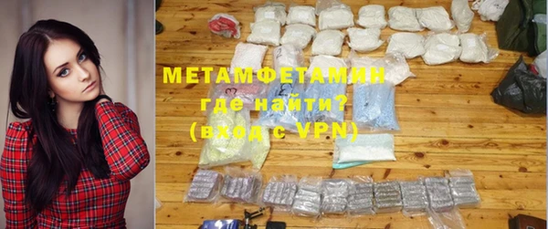 индика Каменка
