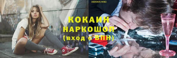 тгк Алексин